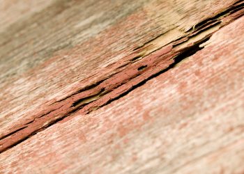 Trocar ou consertar pisos de madeira: quanto custa?